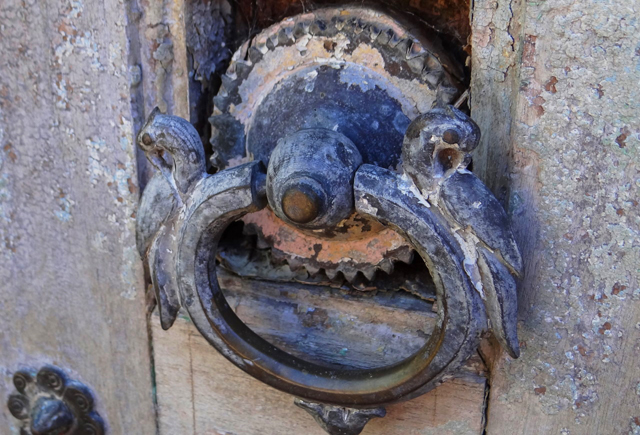 Blue Knocker - Photography by Brian Paatsch
